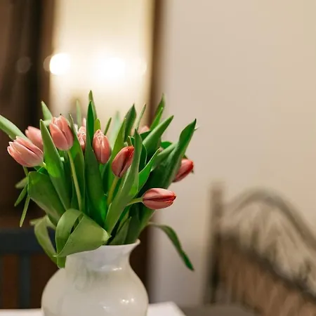 On Main Square Apartma *